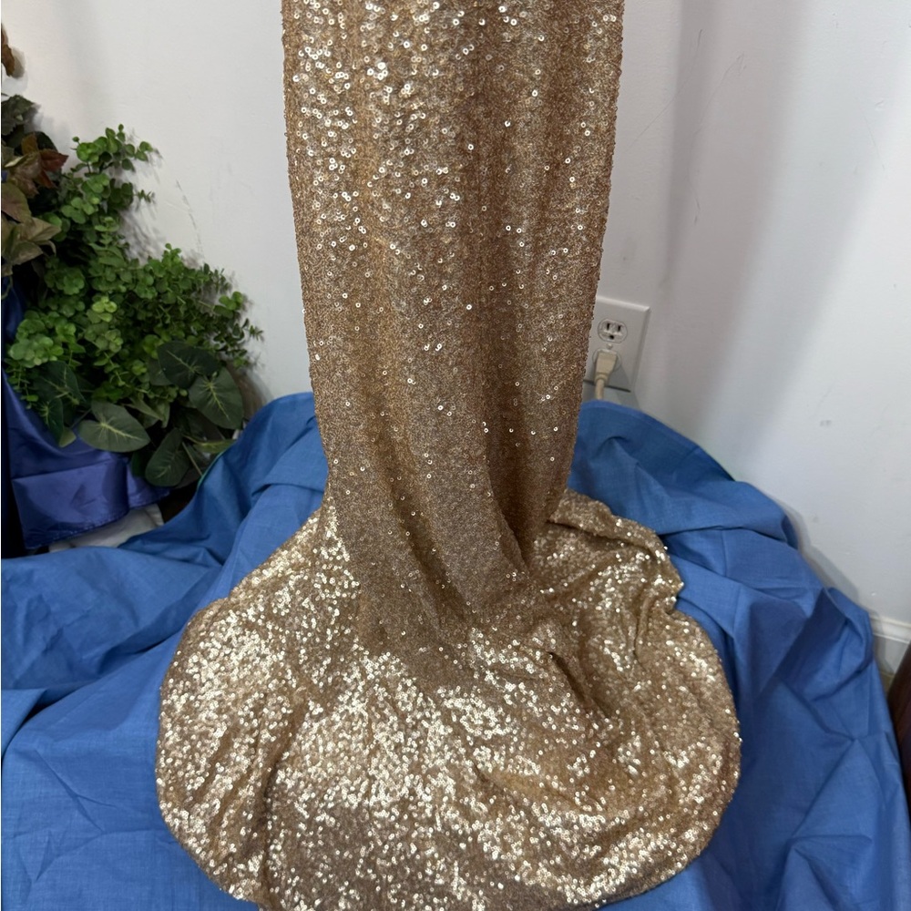 Gold Sequin Evening Gown - Picture 14 of 14
